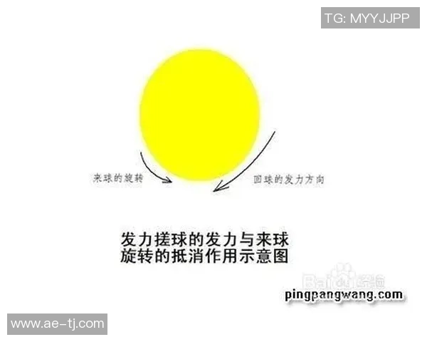 南京乒乓球队意识探讨与发展方向的深度分析与思考