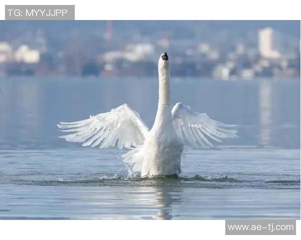 足球明星雨伞高清图片展现独特风采与魅力的完美结合 足球明星雨伞高清图片展现独特风采与魅力的完美结合