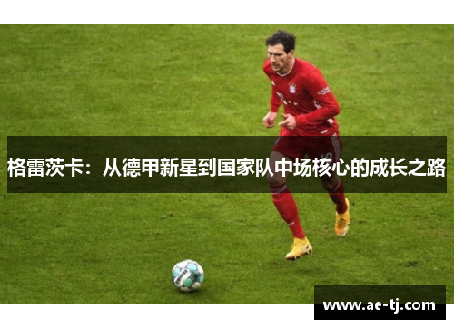 格雷茨卡：从德甲新星到国家队中场核心的成长之路